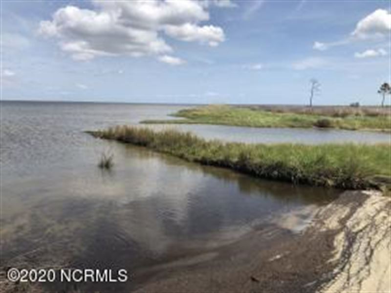 Hunting Tract for Sale in Lowland : Lowland : Pamlico County : North Carolina