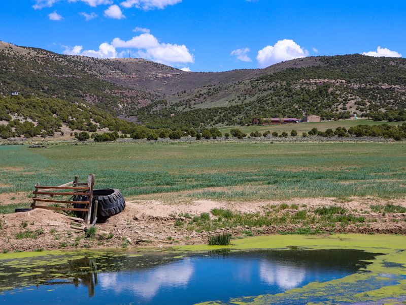Many Wings Ranch : Maybell : Moffat County : Colorado