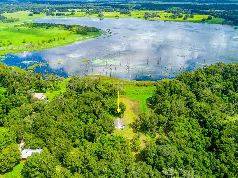 5 Acre Lakefront Cottage : Brooksville : Hernando County : Florida
