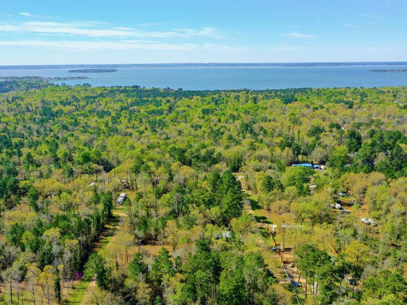 Wooded Lot with Power Near Lake : Livingston : Polk County : Texas