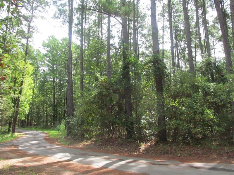 Over 1 Acre East Texas Residential : Winnsboro : Wood County : Texas