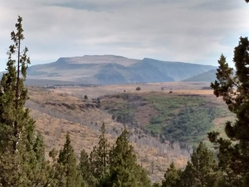 McCoy Creek Acreage, Steens Mtn : Diamond : Harney County : Oregon