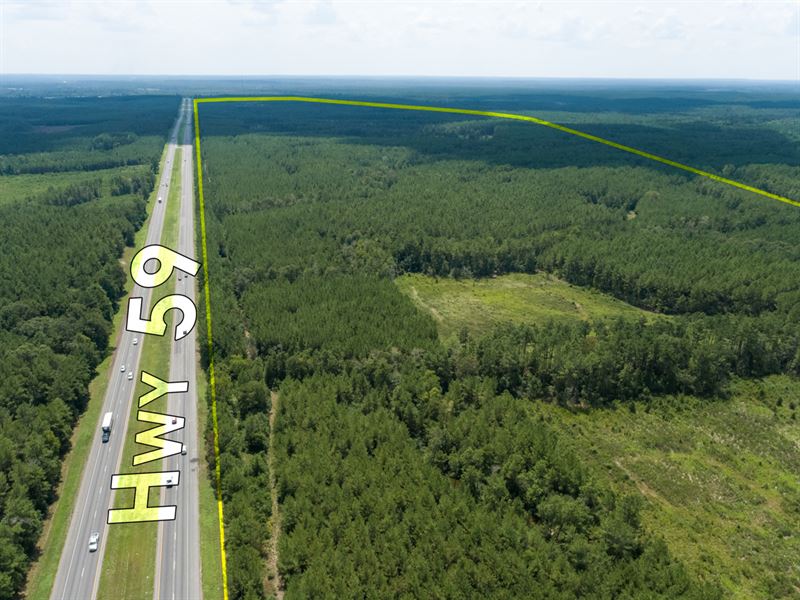 35 Acres T-12 59 Bend : Corrigan : Polk County : Texas
