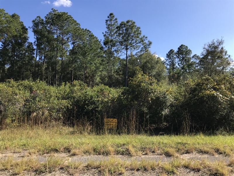 Affordable Off Grid Homesite : North Port : Sarasota County : Florida