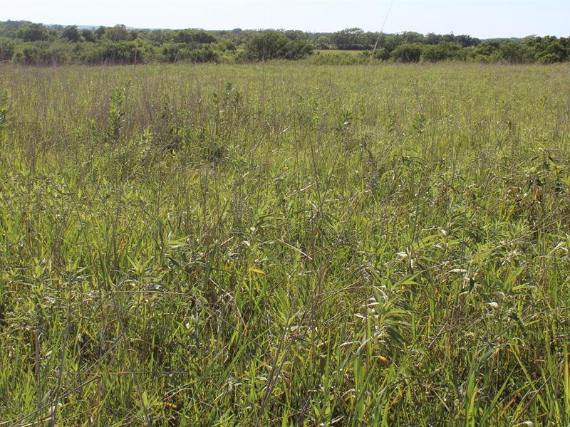 40 Acres M/L Eskridge, KS : Eskridge : Wabaunsee County : Kansas