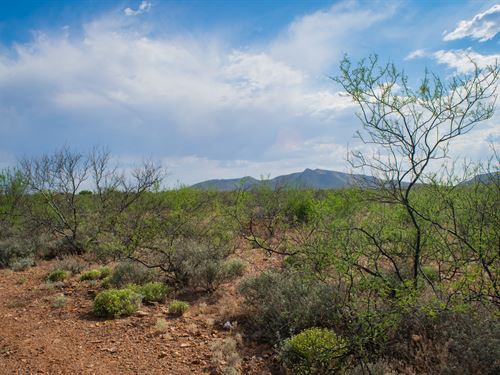 Bring Your Sunglasses to Bisbee : Bisbee : Cochise County : Arizona