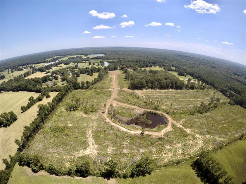 Monticello, Plantersville Community : Monticello : Drew County : Arkansas
