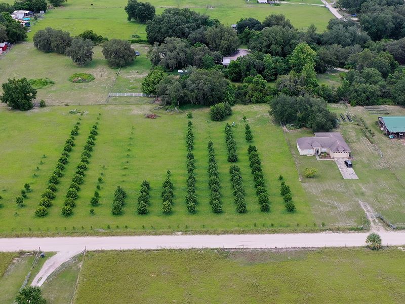 Lake Wales Home and Orchard Land for Sale in Lake Wales, Polk County