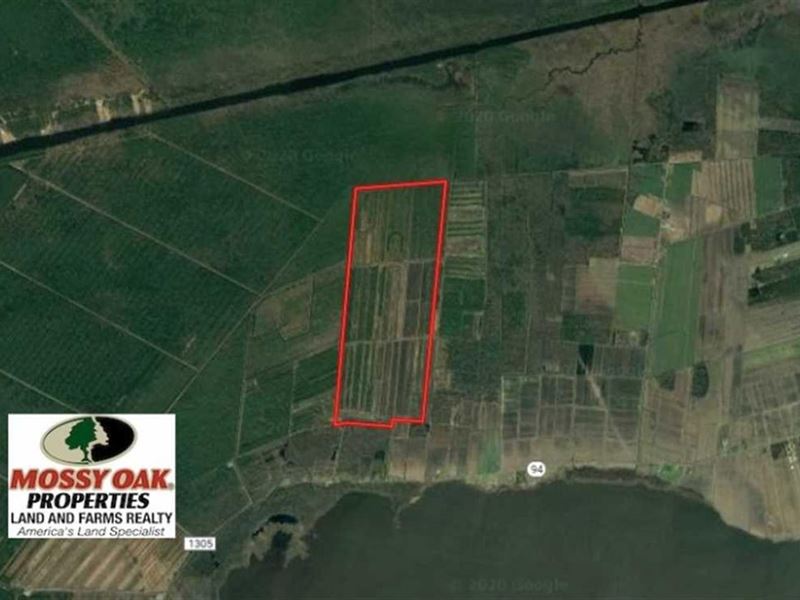 844 Acres of Hunting Land for Sale : Fairfield : Hyde County : North Carolina