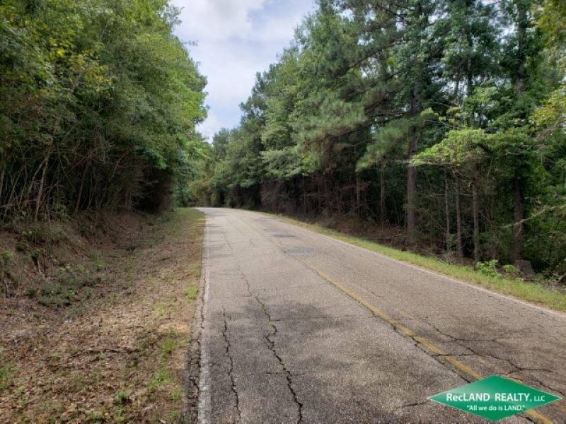 20 Ac, Wooded Tract for Rural Home : West Monroe : Ouachita Parish : Louisiana