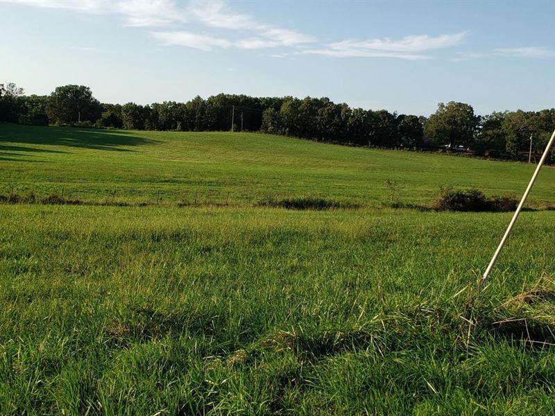 30 Acres Of Farm Land for Sale : Mountain View : Howell County : Missouri