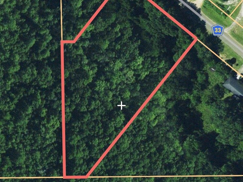 2.3 Acre Lot Geneva, Al, Home : Geneva : Geneva County : Alabama