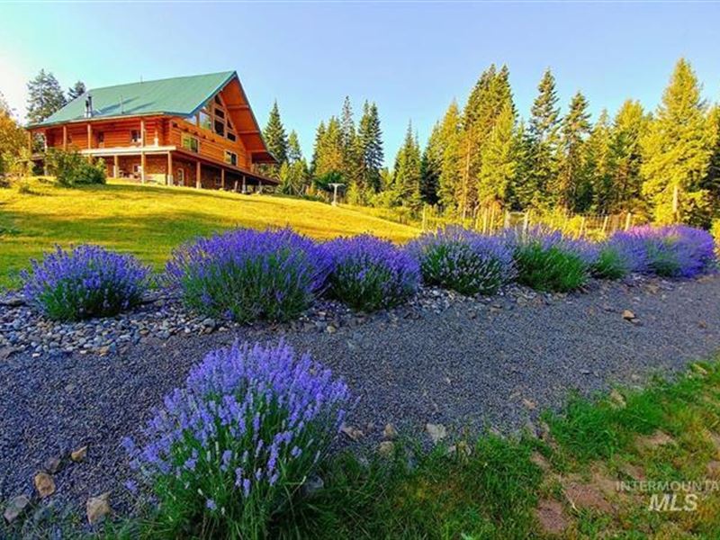 Off Grid Log Cabin Grangeville Land for Sale in Grangeville, Idaho