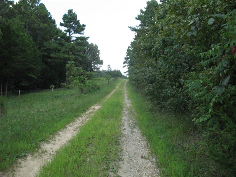 Land for Sale Joins National Forest : Willow Springs : Howell County : Missouri