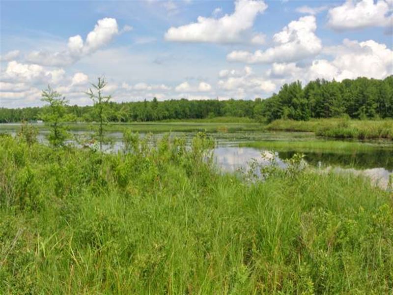Amber Lake Acreage : Minocqua : Oneida County : Wisconsin