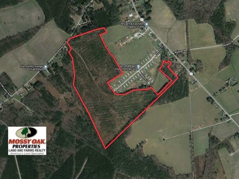 Under Contract, 105 Acres of Hun : Woodland : Northampton County : North Carolina