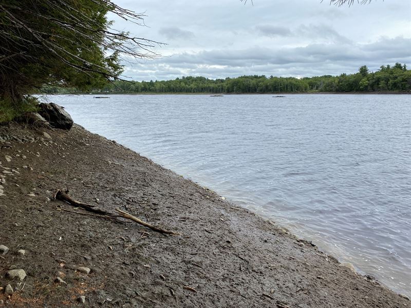 Penobscot River Land for Sale : Howland : Penobscot County : Maine
