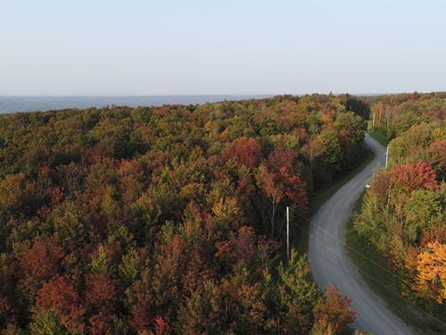 9.5 Acres Forest and Creek, Power : Herkimer : New York