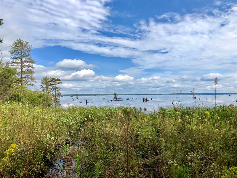 Eastern NC Hunting Property : Belhaven : Hyde County : North Carolina