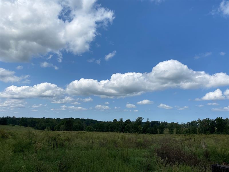 Where Green Grass Grows : Pamplin : Prince Edward County : Virginia