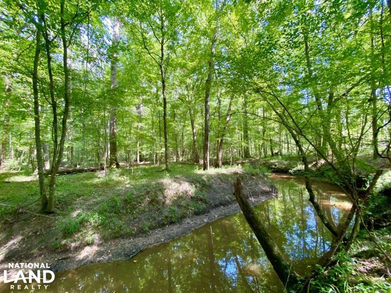 Canty Road Troy Highway Timber & Hu : Mathews : Montgomery County : Alabama