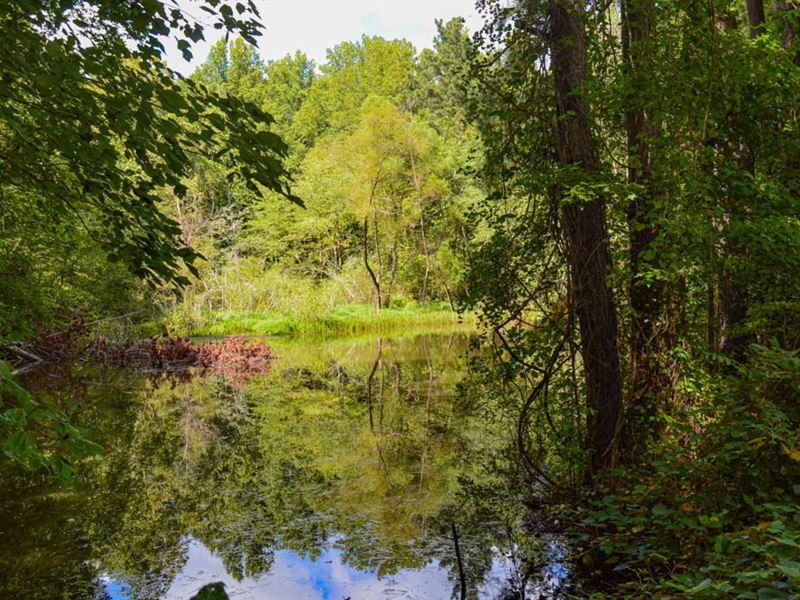 Picturesque Home Site in District 1 : Campobello : Spartanburg County : South Carolina