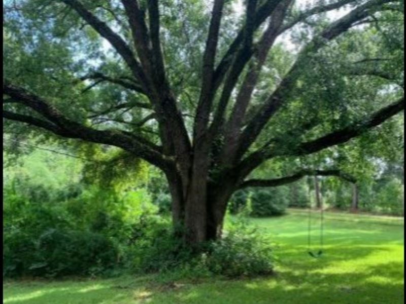 80 Acres with A Home in Copiah Coun : Hazlehurst : Copiah County : Mississippi