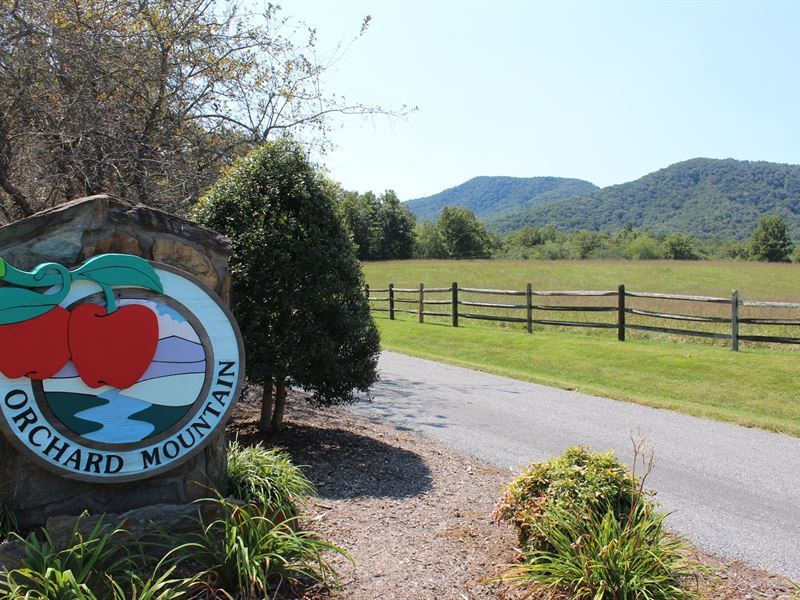 Lowgap North Carolina Land for Sale, Land for Sale in North Carolina