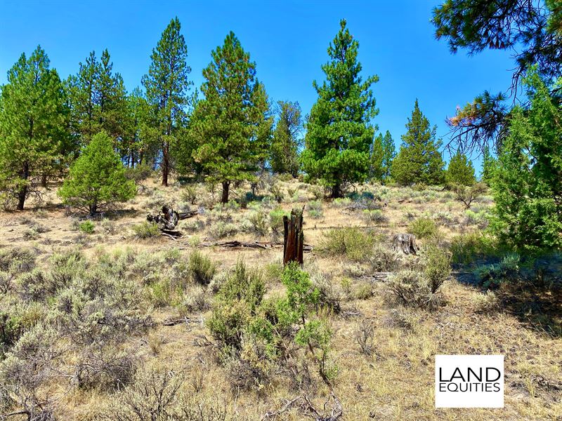 Secluded Private Location : Beatty : Klamath County : Oregon