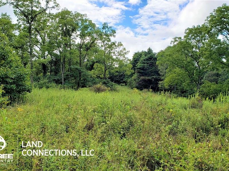 Hunting Land For Sale In Ohio