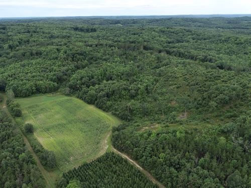 clarks faraway field sale