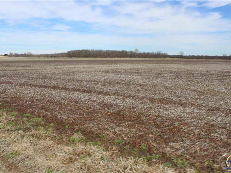 Tillable Bottom Ground : Lyndon : Osage County : Kansas