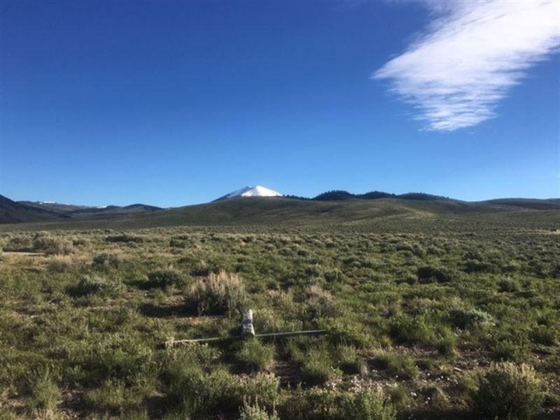 Cottonwood Creek Ranch : Dillon : Beaverhead County : Montana