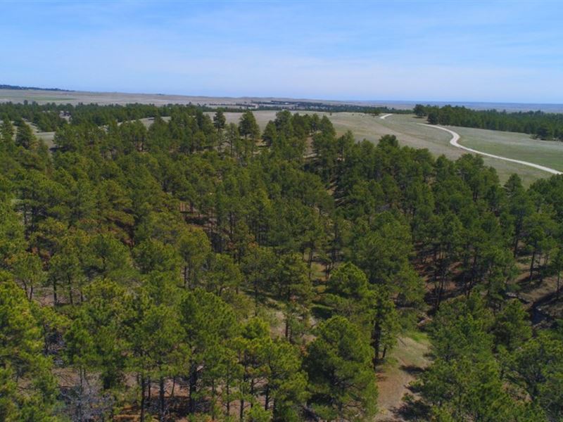 Pine Ridge Ranch And Wildlife Tract Land for Sale in Crawford, Dawes