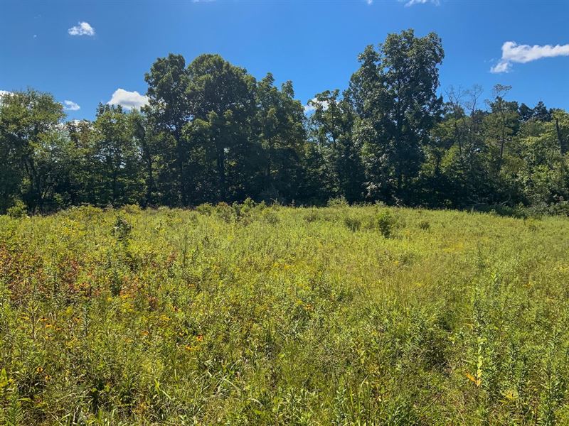 Wainwright Rd, 20 Acres, Morgan : Malta : Morgan County : Ohio