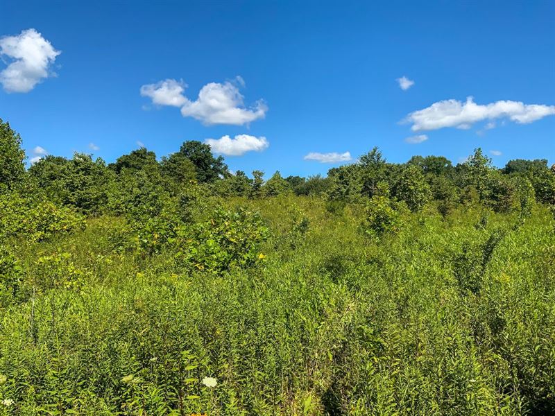 Wainwright Rd, 39 Acres, Morgan : Malta : Morgan County : Ohio