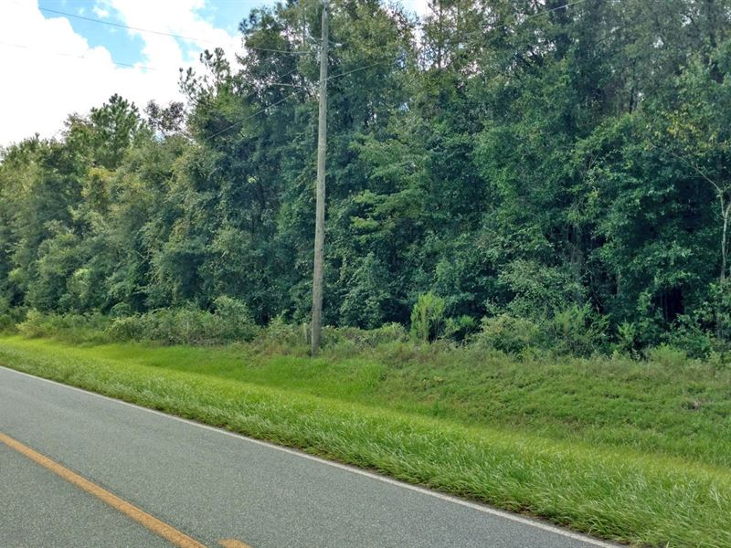 10.02 Acres in North Floirda : Live Oak : Suwannee County : Florida