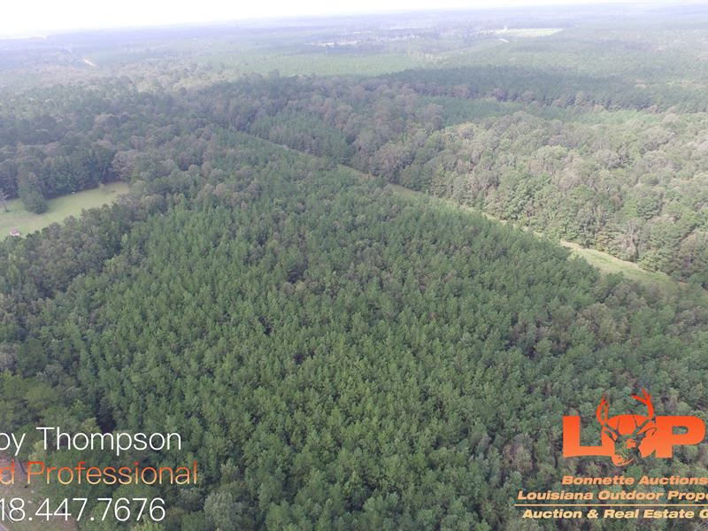 57 Ac Homesite, Hunting & Timber : Kelly : Caldwell Parish : Louisiana
