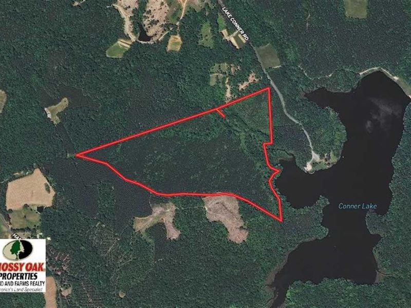 70 Acres of Timberland for Sale : Nathalie : Halifax County : Virginia