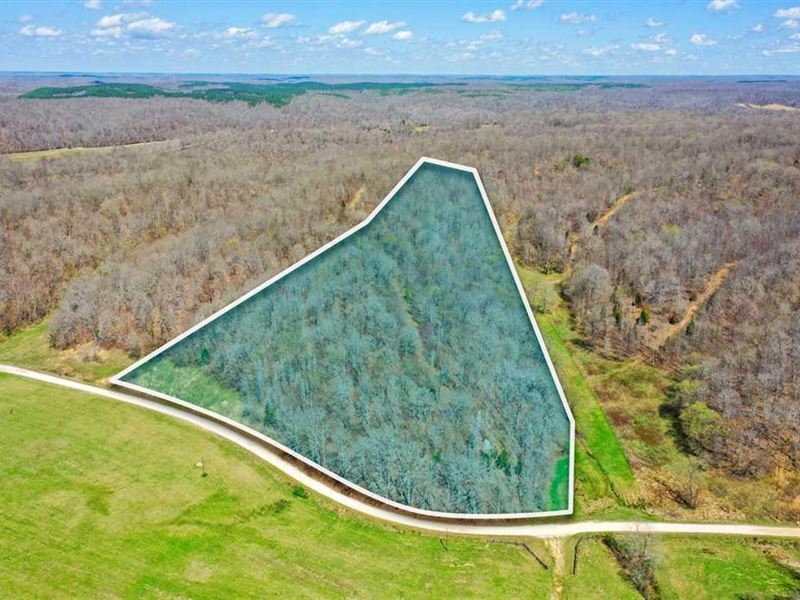 Valley View Homesite on 12.5 Acre : Waverly : Humphreys County : Tennessee
