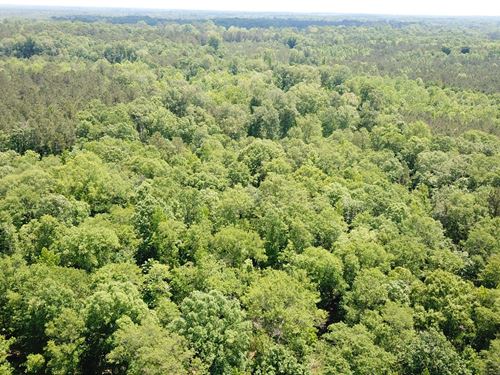 Duck Hill Tract : Selma : Dallas County : Alabama
