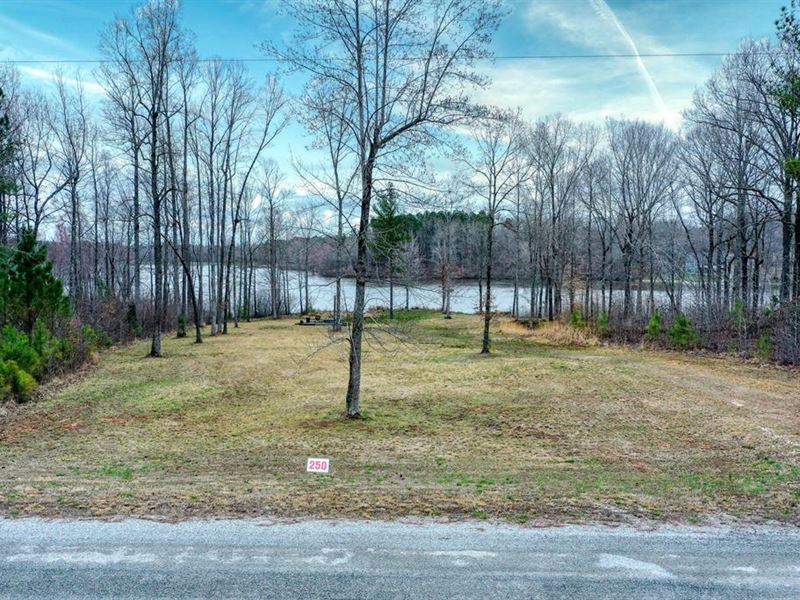 Beautiful Waterfront Lot : Cedar Grove : Carroll County : Tennessee