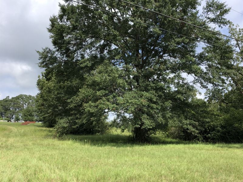 4+/- Acres Hwy 29 Dozier, AL : Dozier : Crenshaw County : Alabama