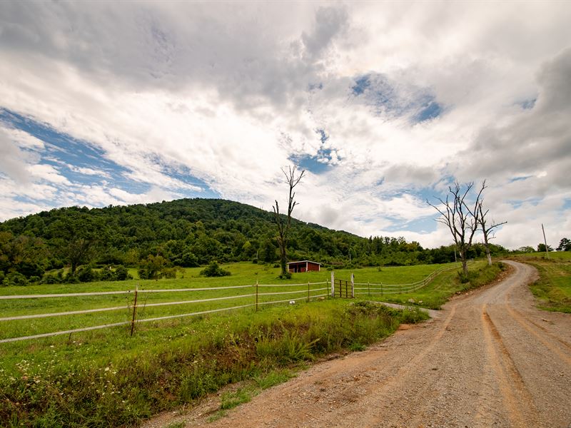 Beautiful 5.66 Acre Outdoor Getaway : New Tazewell : Claiborne County : Tennessee