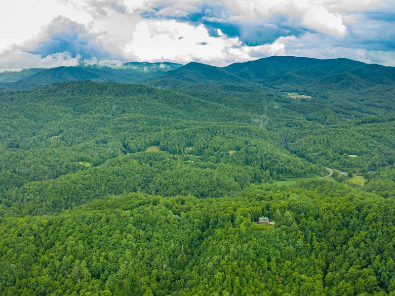 Your Secluded Getaway in The Trees : Hartford : Cocke County : Tennessee