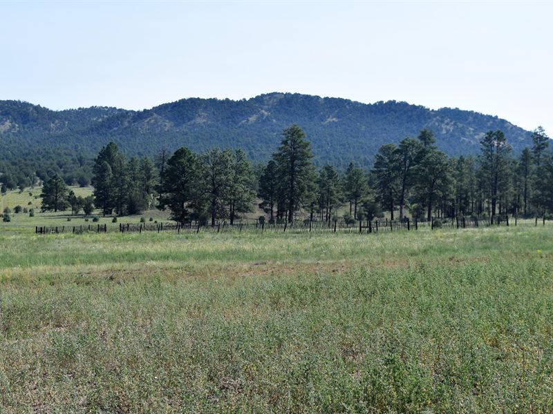 Elk Mountain Meadows Lot 5 Mimbres : Mimbres : Grant County : New Mexico