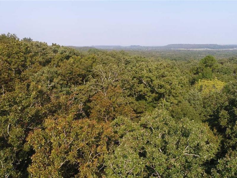 Bear Hollow Mountain 40 : Greenwood : Sebastian County : Arkansas