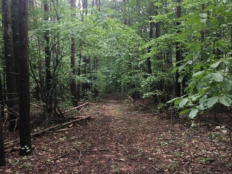 25 Acres in Bassett, VA : Bassett : Henry County : Virginia