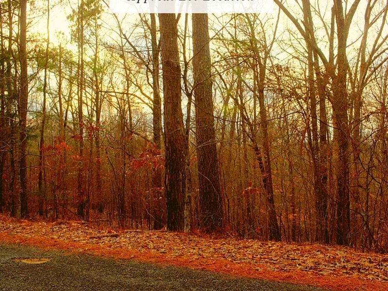 1.50 Acres Only $1Dn, $199/Mo : Batesville : Panola County : Mississippi