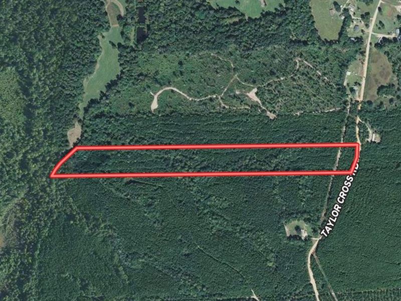 20 Acres in Lapine, Alabama : Lapine : Crenshaw County : Alabama